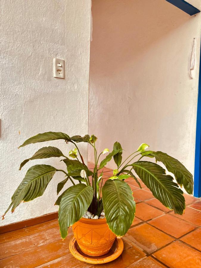 Montepascual Ecovillage لاغوينها المظهر الخارجي الصورة